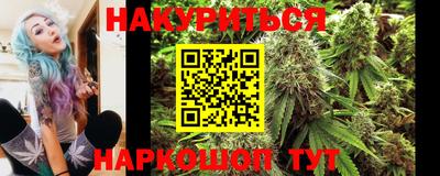 хмурый Шелехов