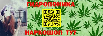 хмурый Шелехов