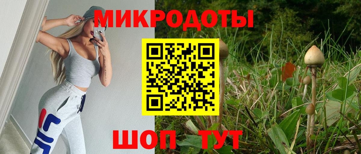 Псилоцибиновые грибы прущие грибы Курчатов
